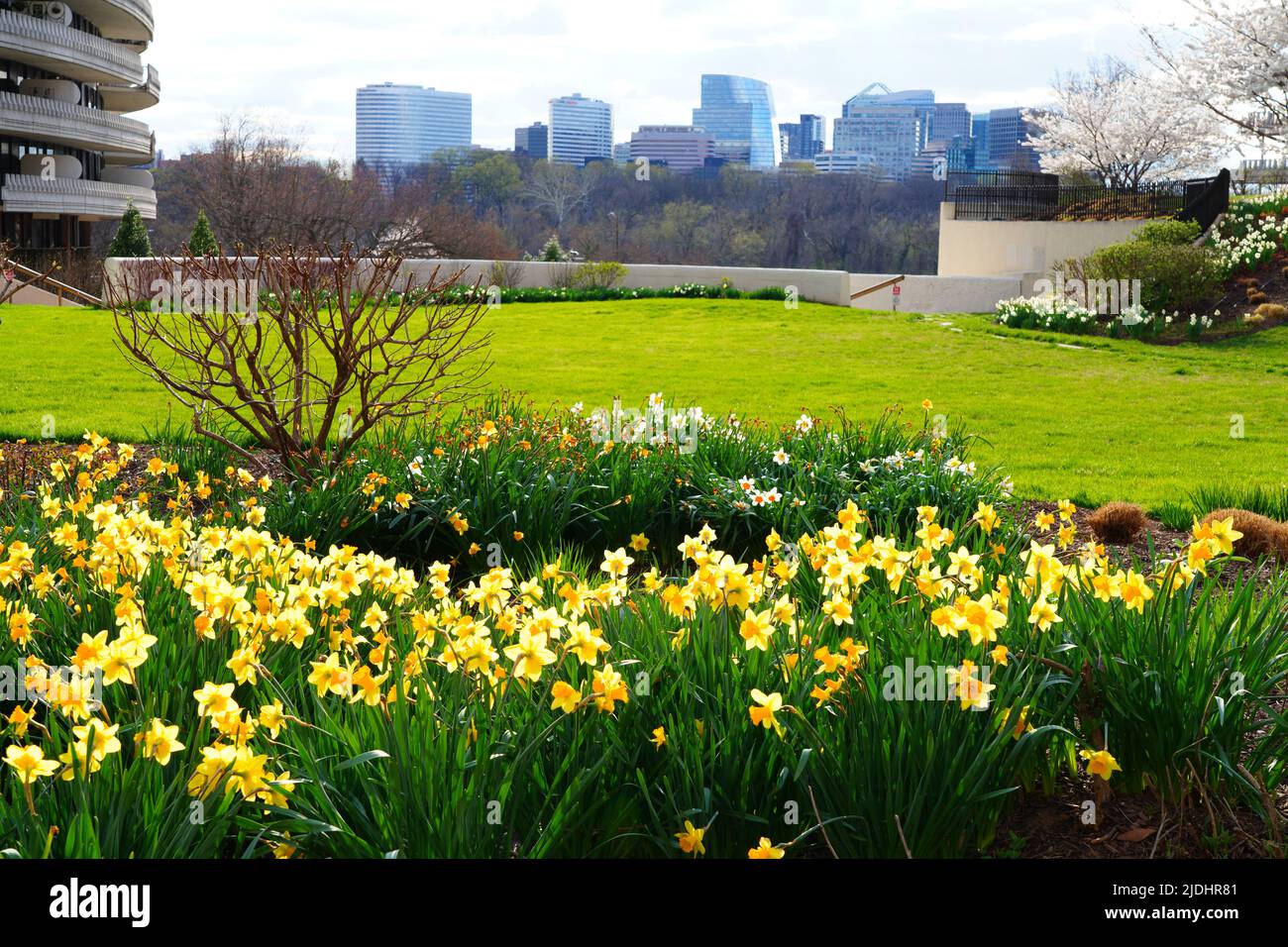 WASHINGTON, DC 25 MAR 2022 View of the Watergate building complex in