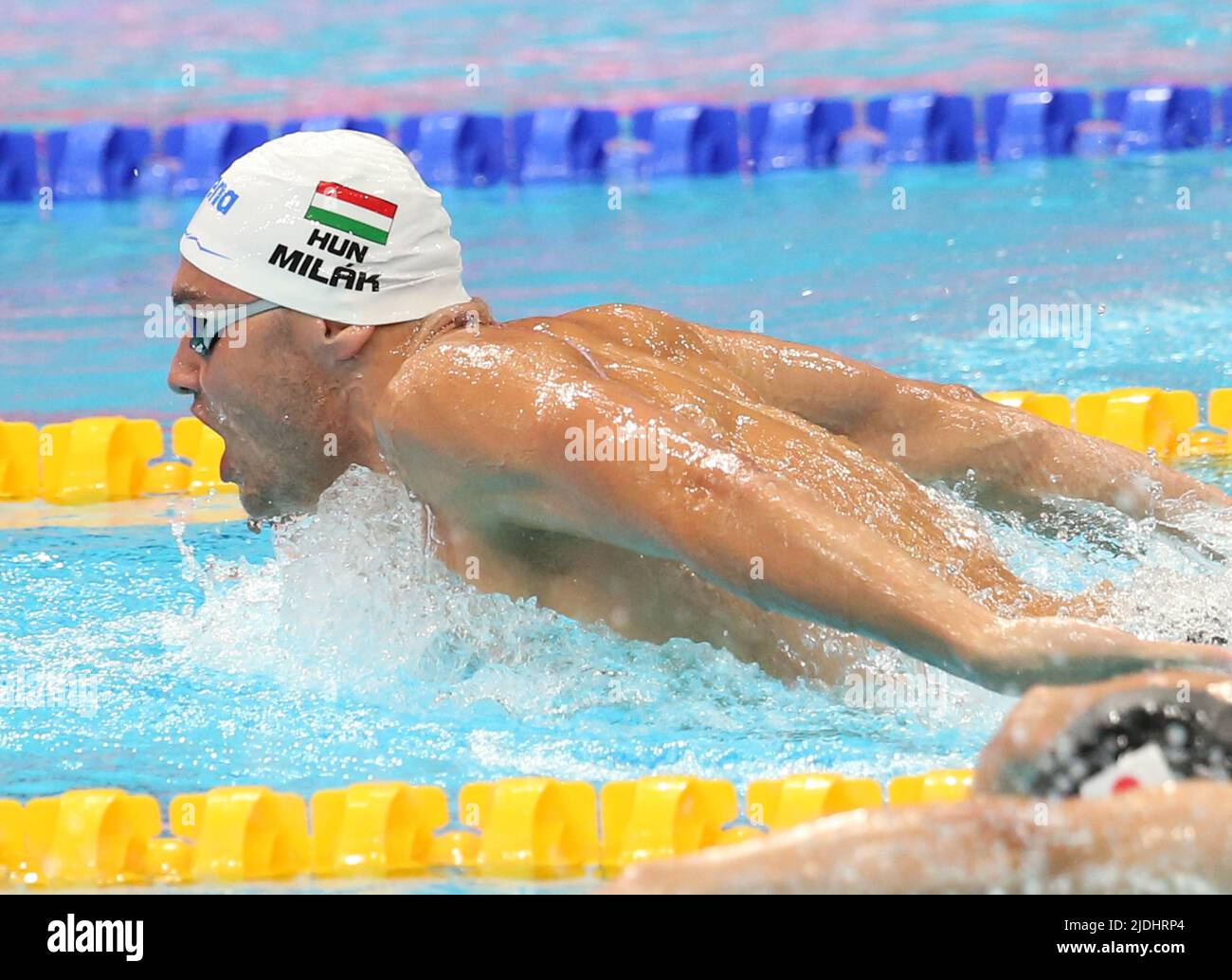 Budapest, Hungary - June 20, 2022, Kristof Milak of Hongrie 1/2 Final 200 M Butterfly Men during the 19th FINA World Championships Budapest 2022, Swimming event on June 20, 2022 in Budapest, Hungary - Photo Laurent Lairys / ABACAPRESS.COM Stock Photo