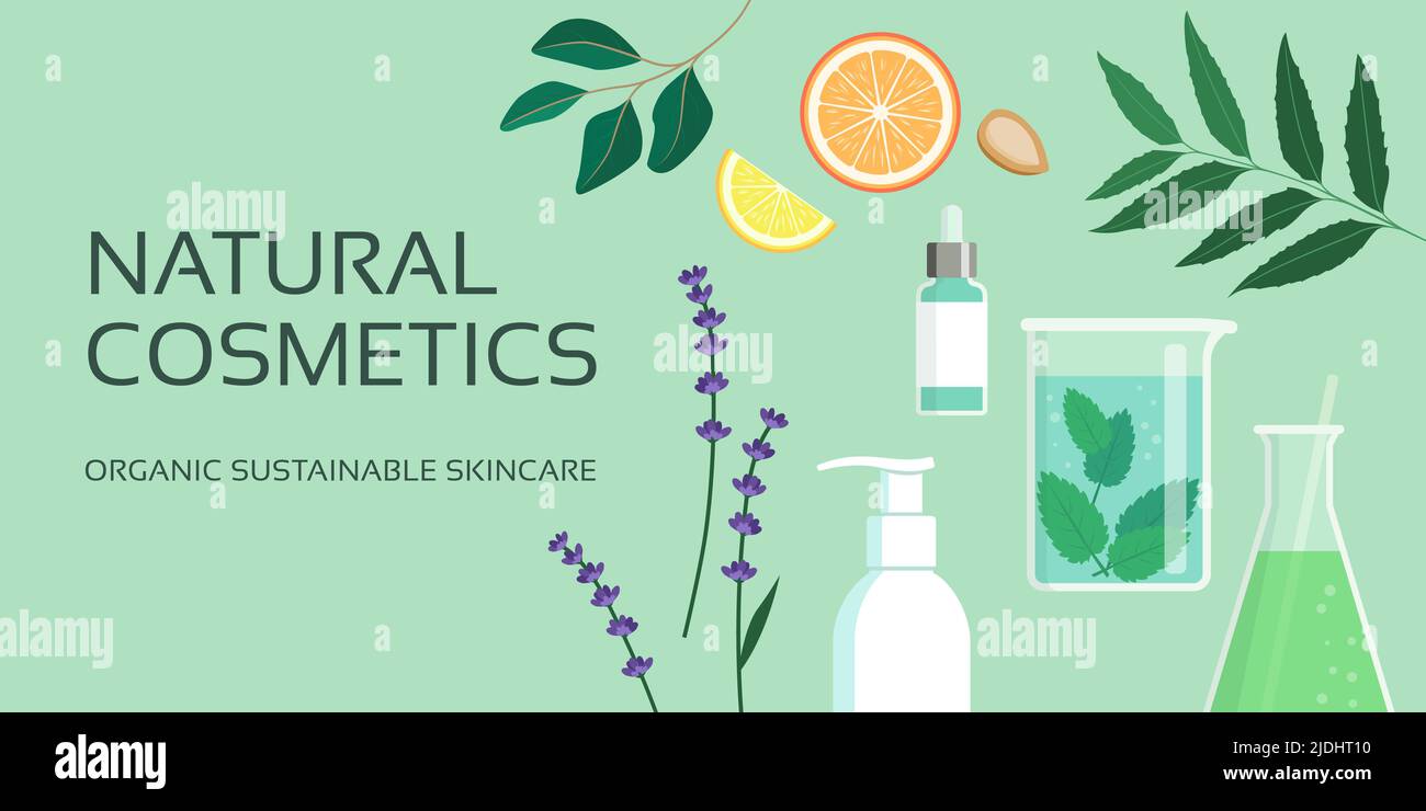 Natural cosmetics and herbal preparations for skincare, herbal medicine and organic products concept Stock Vector