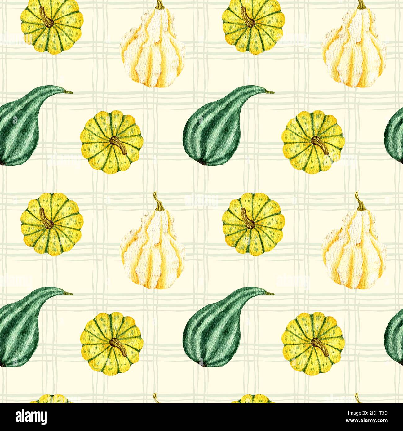 Orange and green pumpkin on a cell background. Watercolor seamless ...