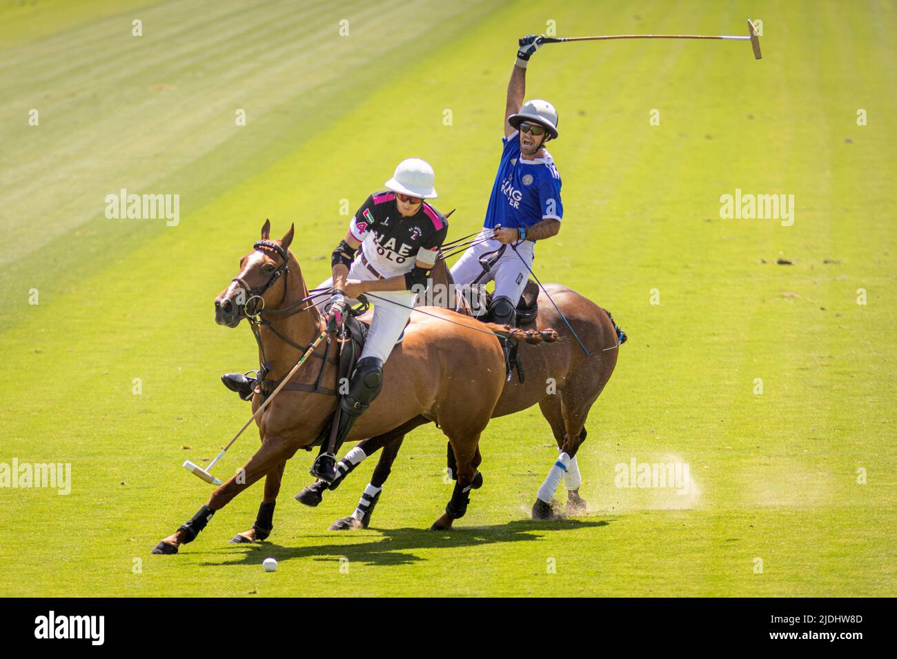 Tomas Beresford of UAE with the ball as Nico Pieres appeals behind at Cowdray Park Polo Club in Midhurst, West Sussex where UAE took on King Power in Stock Photo