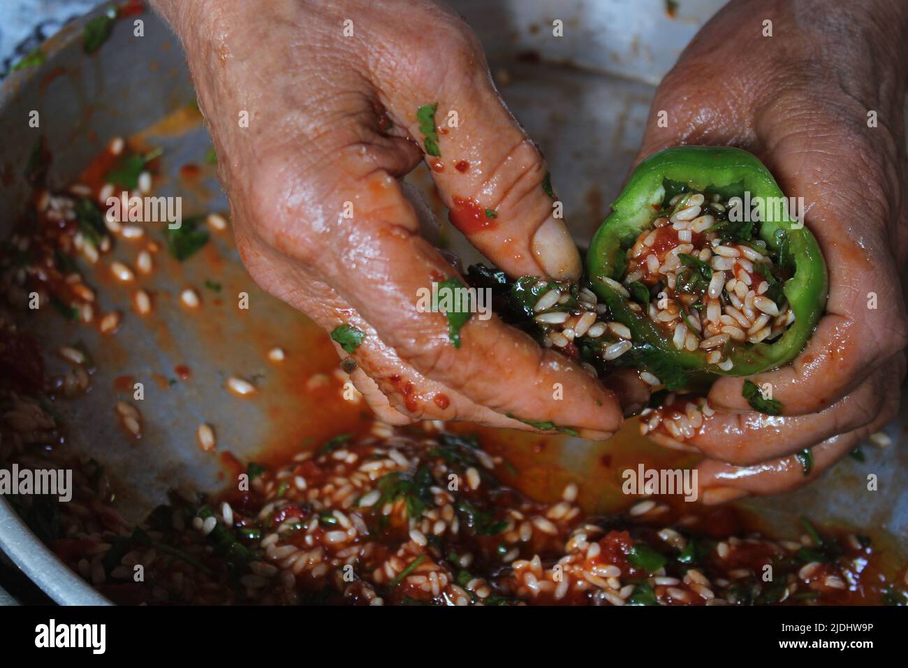 Woman hands preparing peppers stuffed with rice ingredient. Greek or Turkish food biber dolmasi preparation close up. Fresh aegean food photography in Turkey. Stock Photo