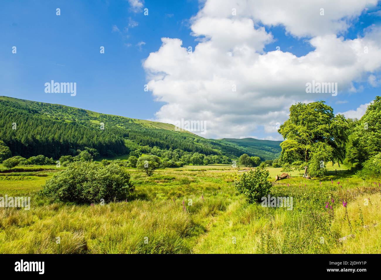 A landscape view up the Talybont Valley in the Brecon Beacons National Park on a sunny and clear June morning Stock Photo