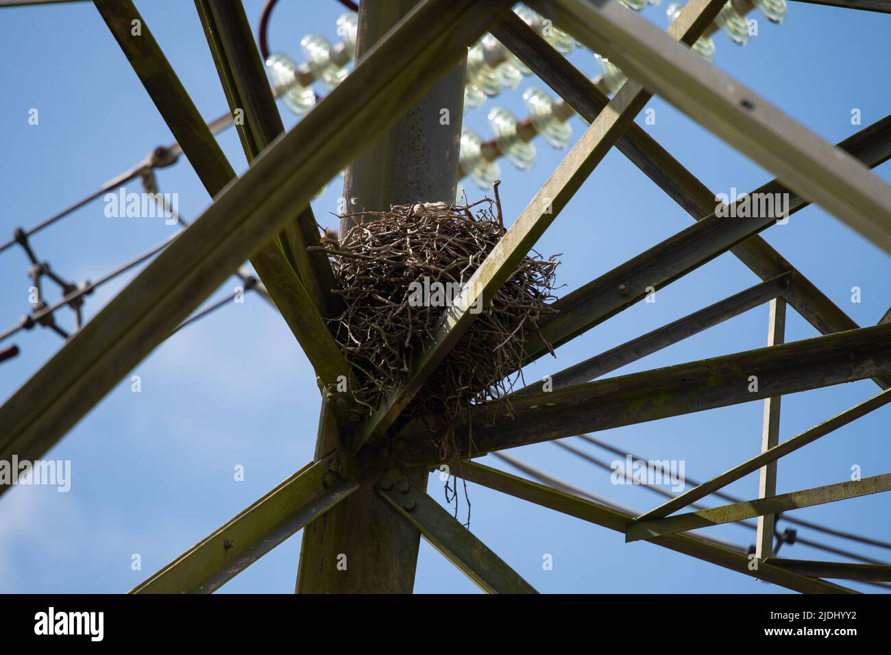 Large bird nest in a lattice electrical power tower in the New Forest Hampshire UK. Stock Photo