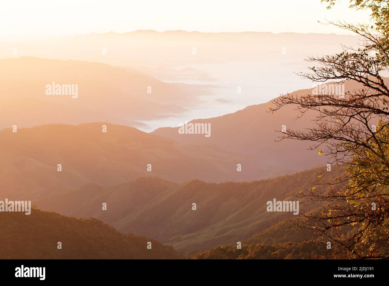 The scenery of mountains on a winter morning, sunrise shines on soft fog in a valley. Nan, Thailand. Focus on the tree in the foreground. Stock Photo