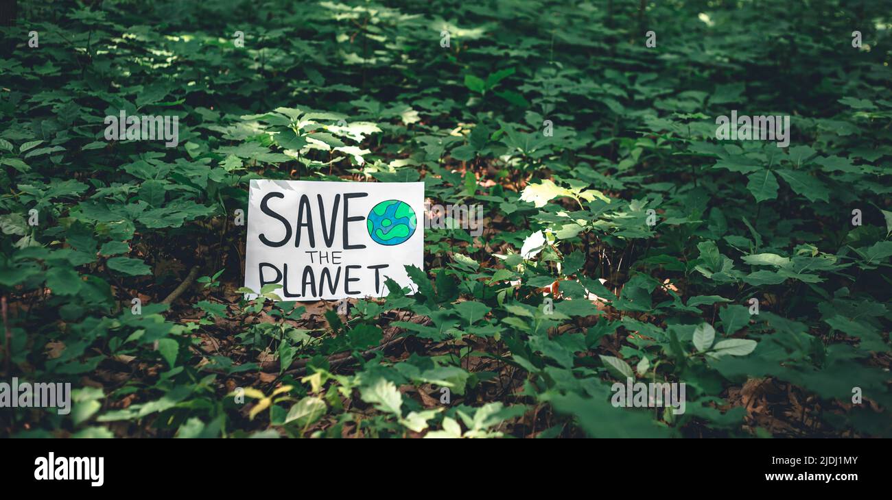 Poster with the inscription save the planet in the forest among the ...