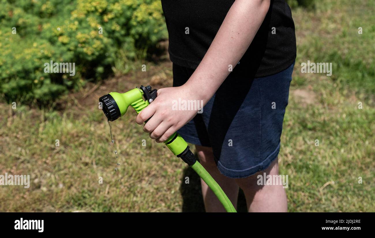Watering the lawn and green grass. Water jet from a garden hose while