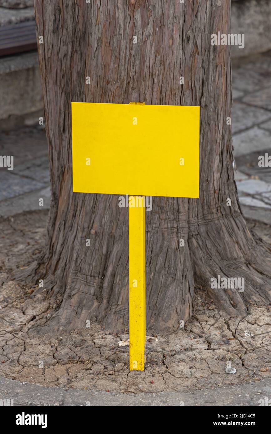 Empty Yellow Sign Pole in Front of Tree Copy Space Stock Photo