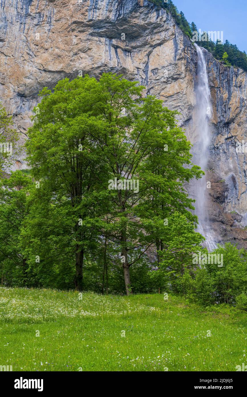 Staubbach waterfall, Lauterbrunnen, Canton of Bern, Switzerland Stock Photo