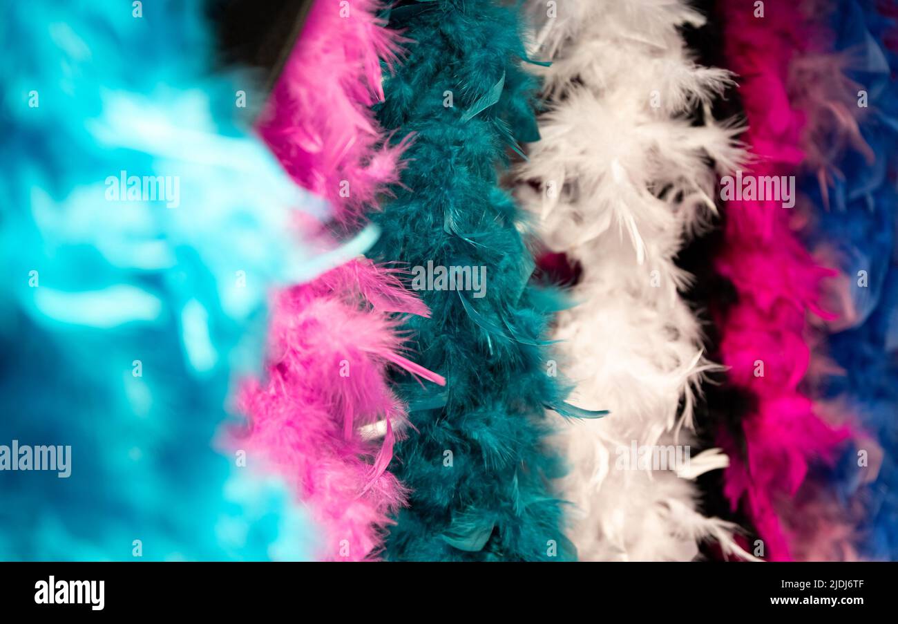 Feather boa on a hanger. Carnival decorations. Multicolored and fluffy