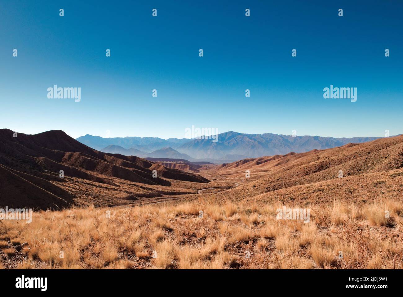Arid grassy steppe by the Andes mountains near Tupungato, province of Mendoza, Argentina. Stock Photo