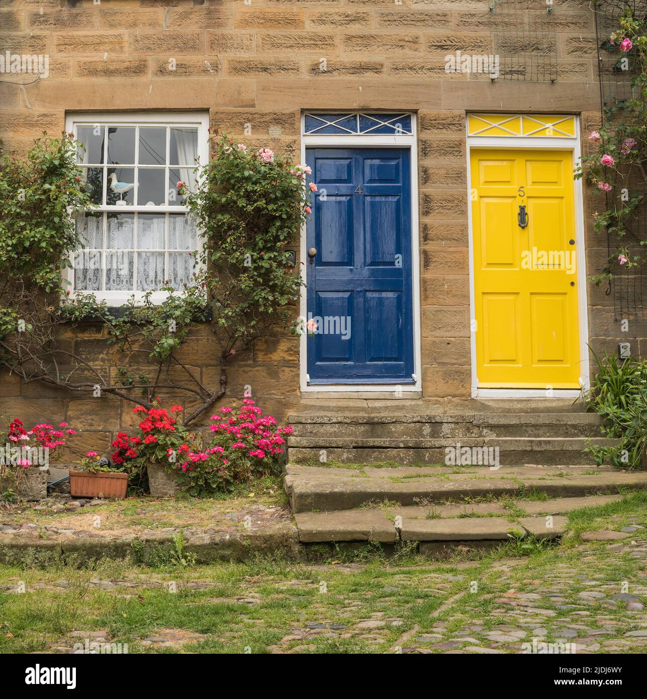 One blue and one yellow front door on adjoining houses, Robbin Hood's
