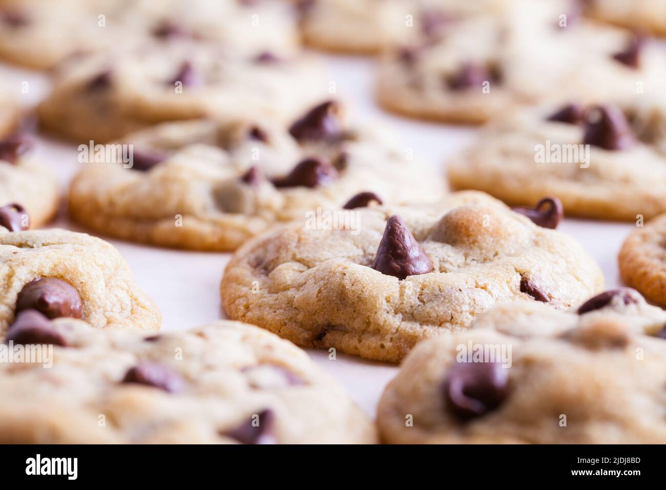 Several Chocolate Chip Cookies Background Close Up. Stock Photo