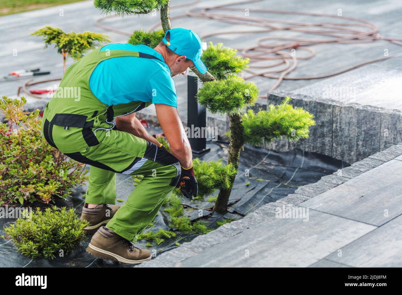 Caucasian Gardener Taking Care of Plant. Shrubs Pruning to Maintain the Appearance of the Landscape Design in the Backyard Garden. Stock Photo