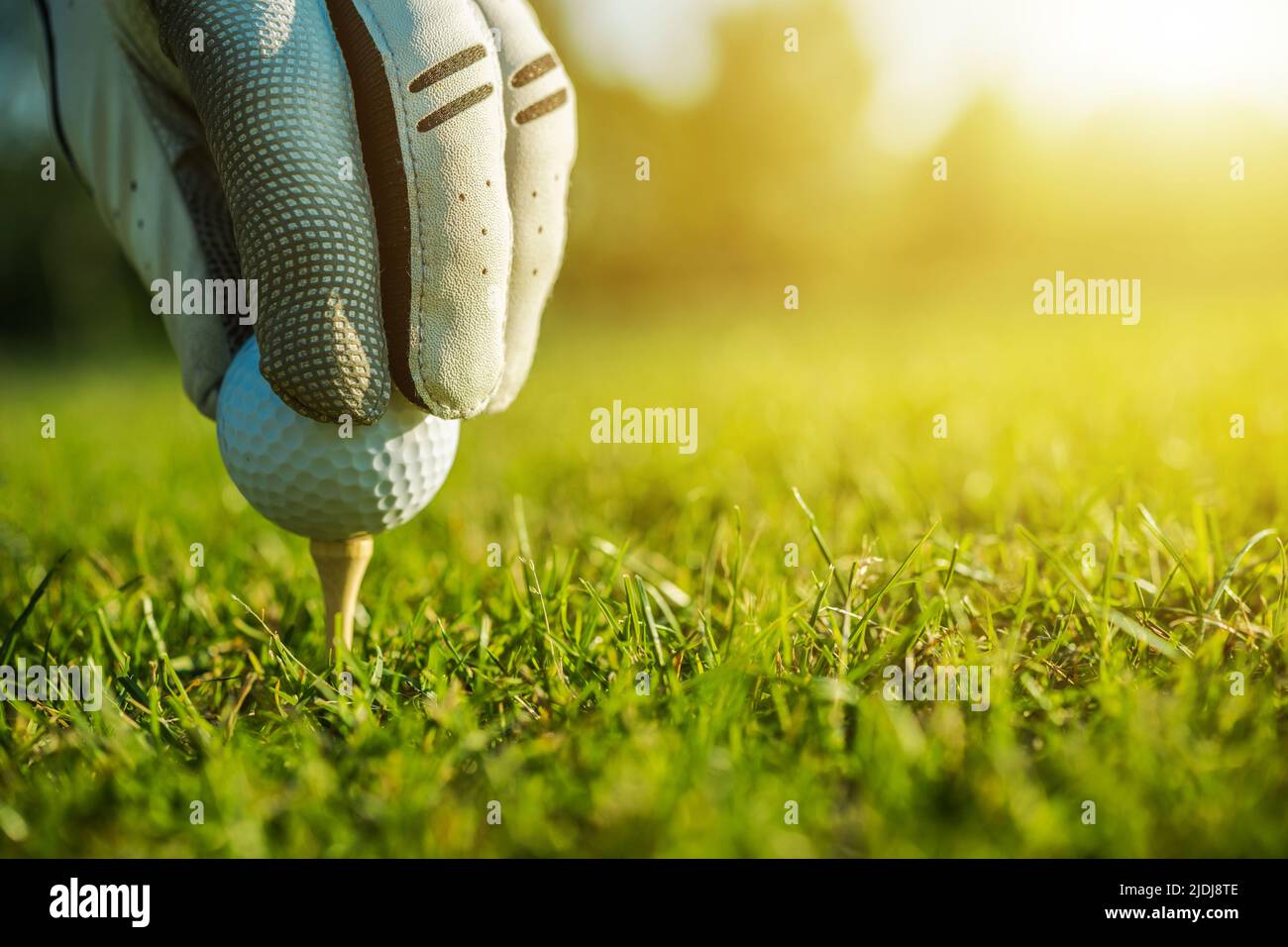 Golf Player Placing a Ball on a Tee Using His Left Hand. Sunny Summer Golf Course. Close Up. Stock Photo