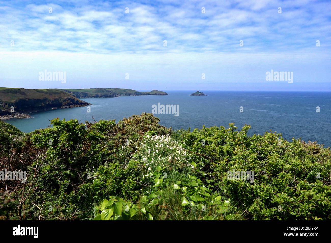 The South West Coast Path on the North Cornwall coast between Port Quin and Port Isaac. Stock Photo