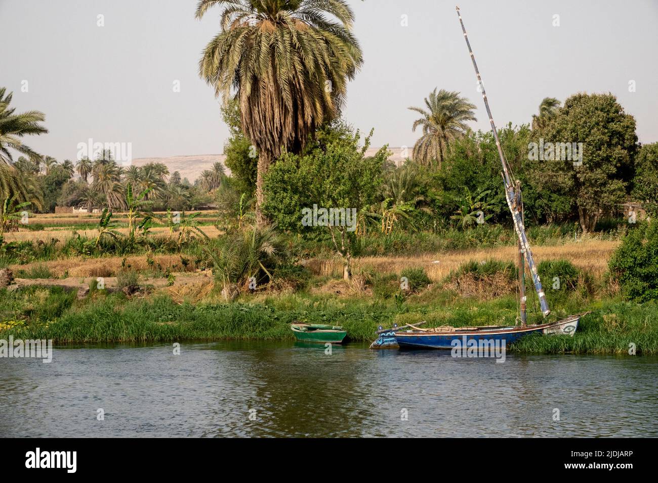 A traditional felucca moored in the reeds on the banks of the river Nile with vegetation and domestic scenes behind Stock Photo