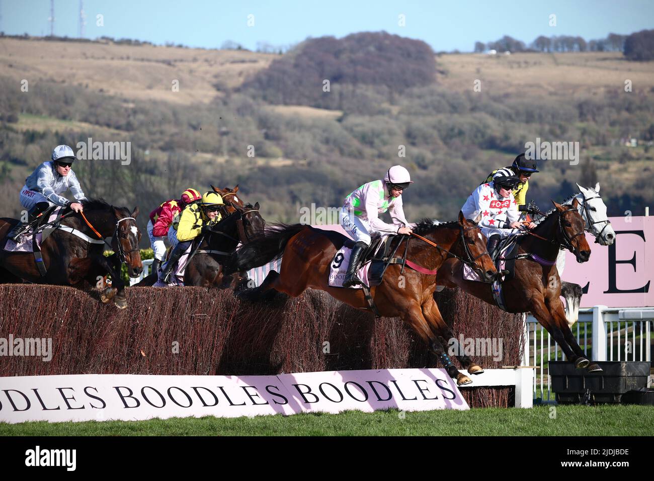 General action during the 2022 Cheltenham Festival, a meeting in the