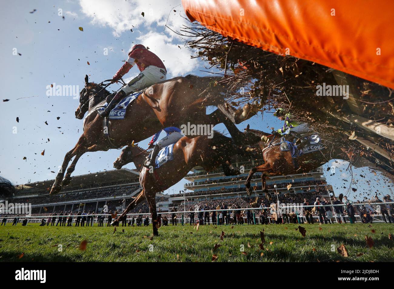General action during the 2022 Cheltenham Festival, a meeting in the