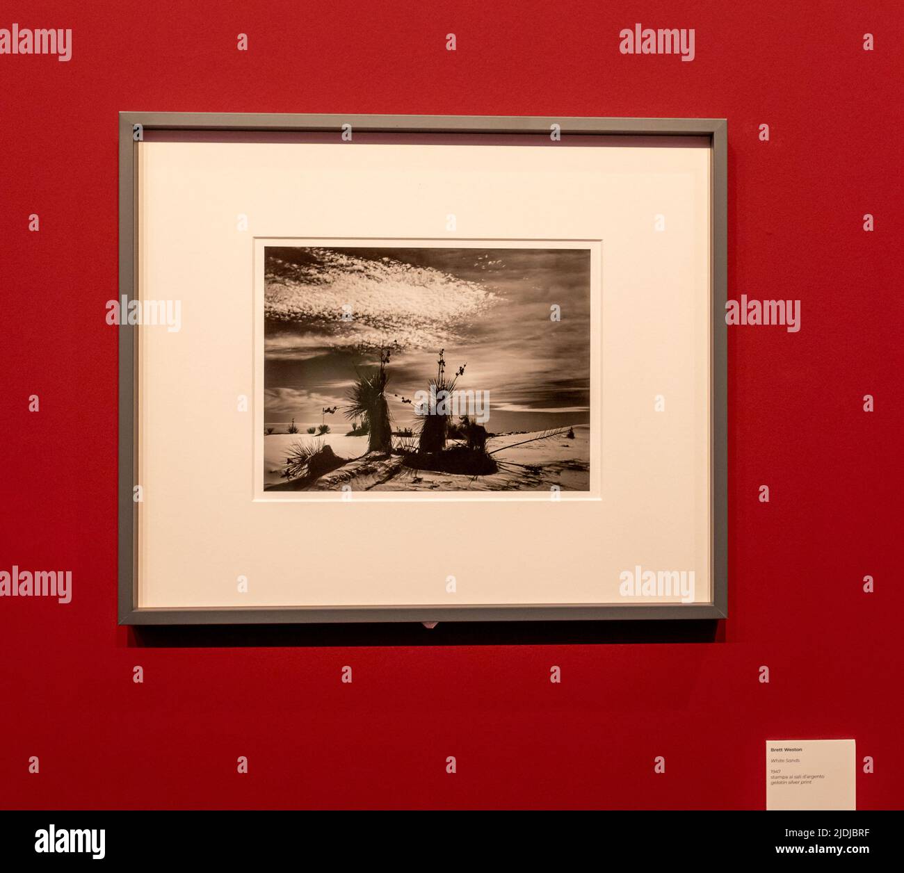Photograph 'White Sands“ 1947– of the photographer Theodore Brett Weston (1911-1993). Photo Festival Brescia-northern Italy Stock Photo