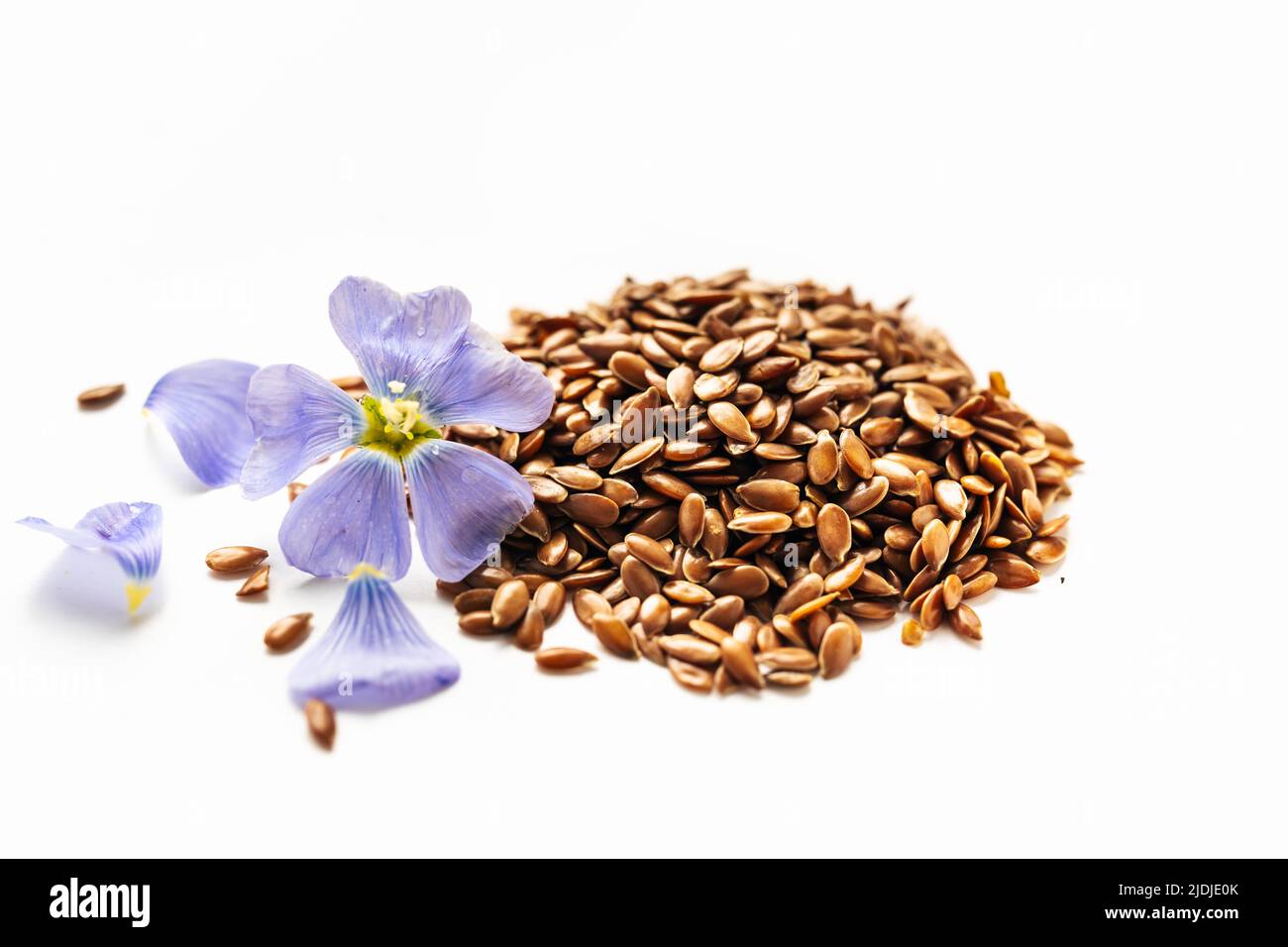 Flax seed and flax flowers macro on white backgrounds. Omega 3 fats. Superfood concept Stock Photo
