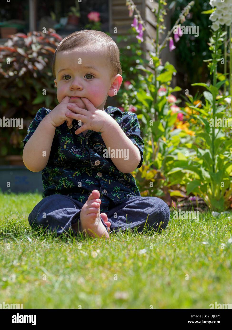 Teething toddler sat on grass with fingers in his mouth, Devon, UK Stock Photo