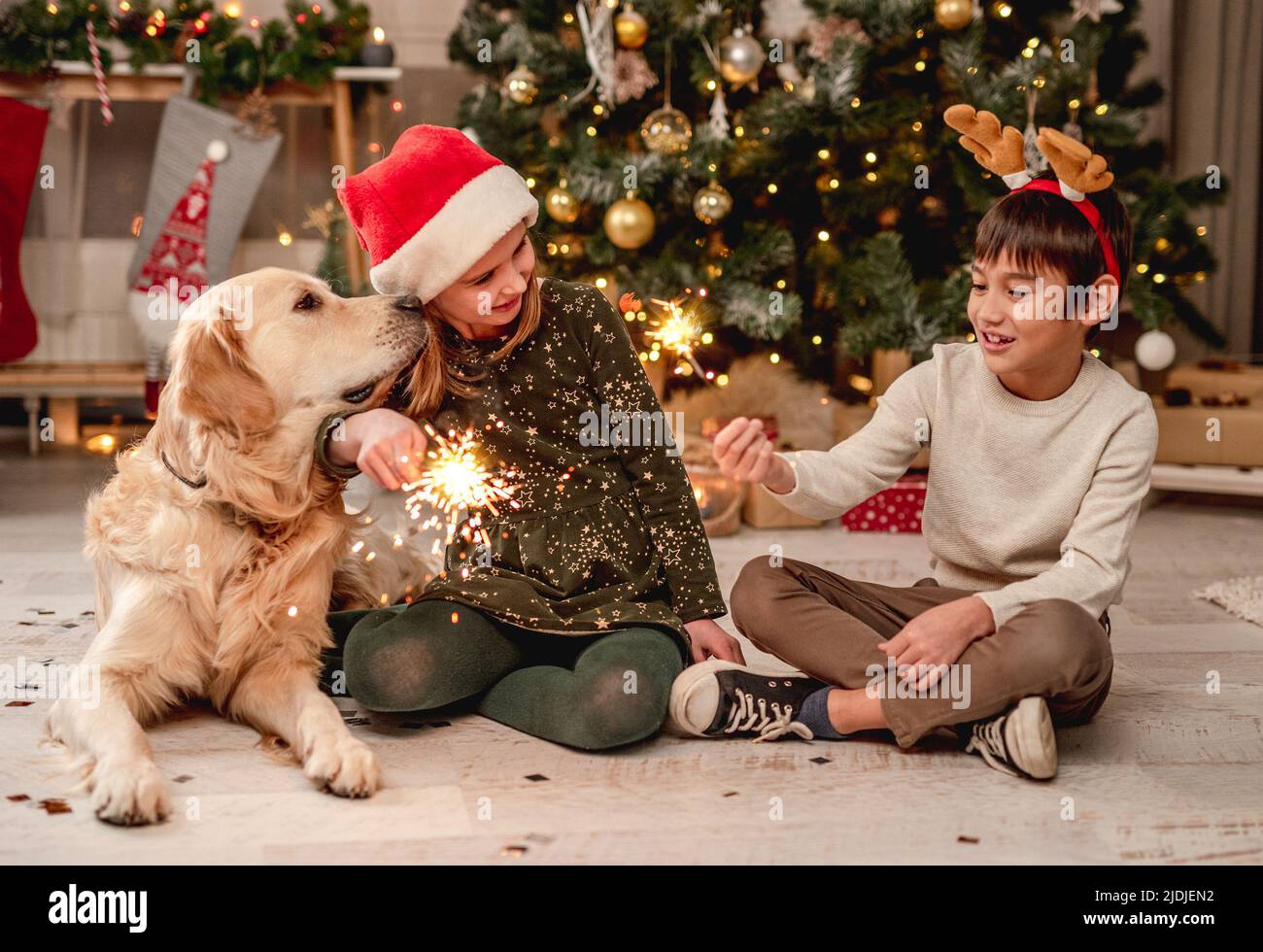 Little girl in santa hat and boy wearing reindeer horns rim holding sparklers while sitting beside golden retriever dog at home Stock Photo