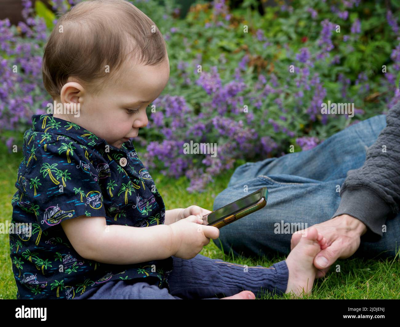 Teething toddler sat on grass playing with a phone, Devon, UK Stock Photo