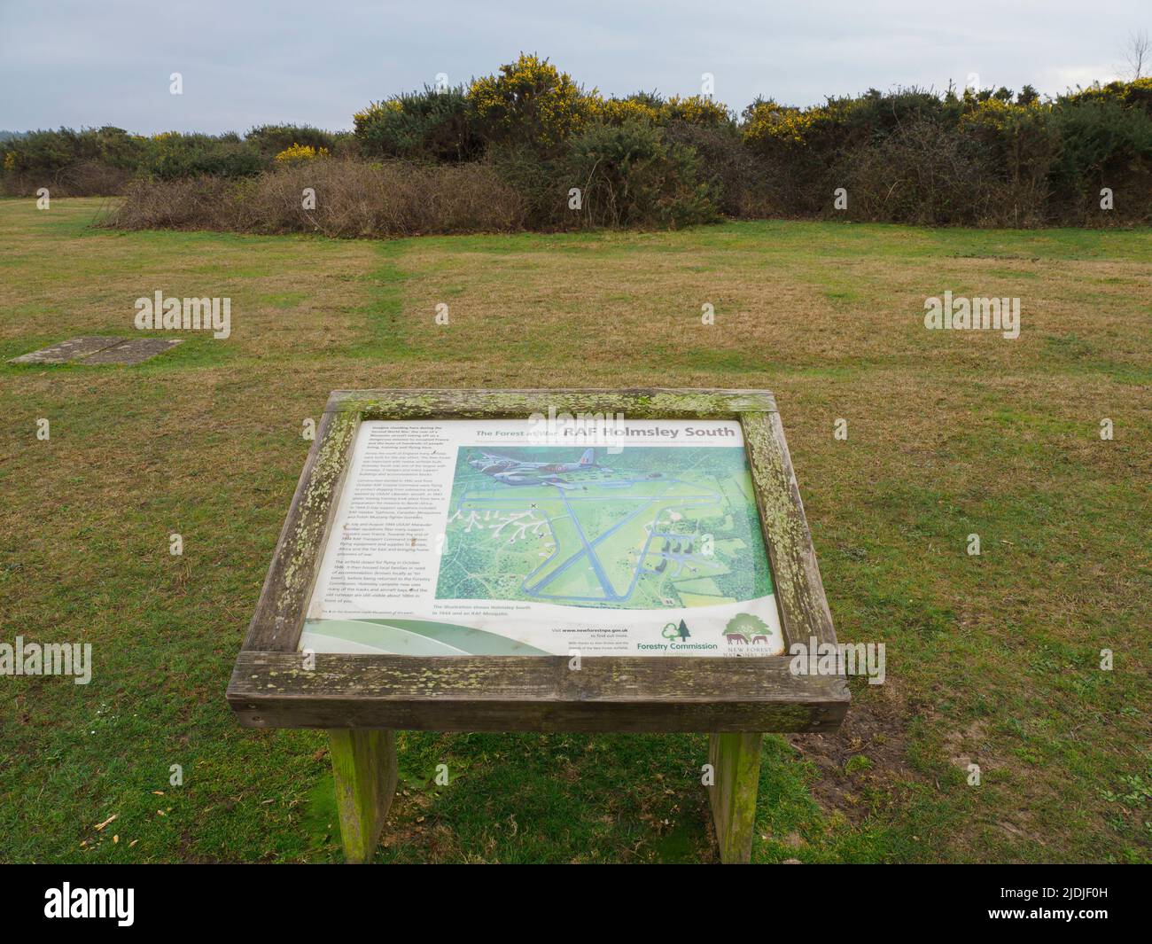 RAF Holmsley South is a former WW2 Royal Air Force station in The New Forest, Hampshire, UK Stock Photo