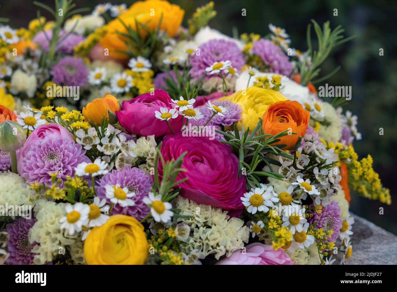 Fresh colorful wild flowers and herbs, close up view. Garden nature blooming, Spring. Women or Mothers day celebration bouquet Stock Photo