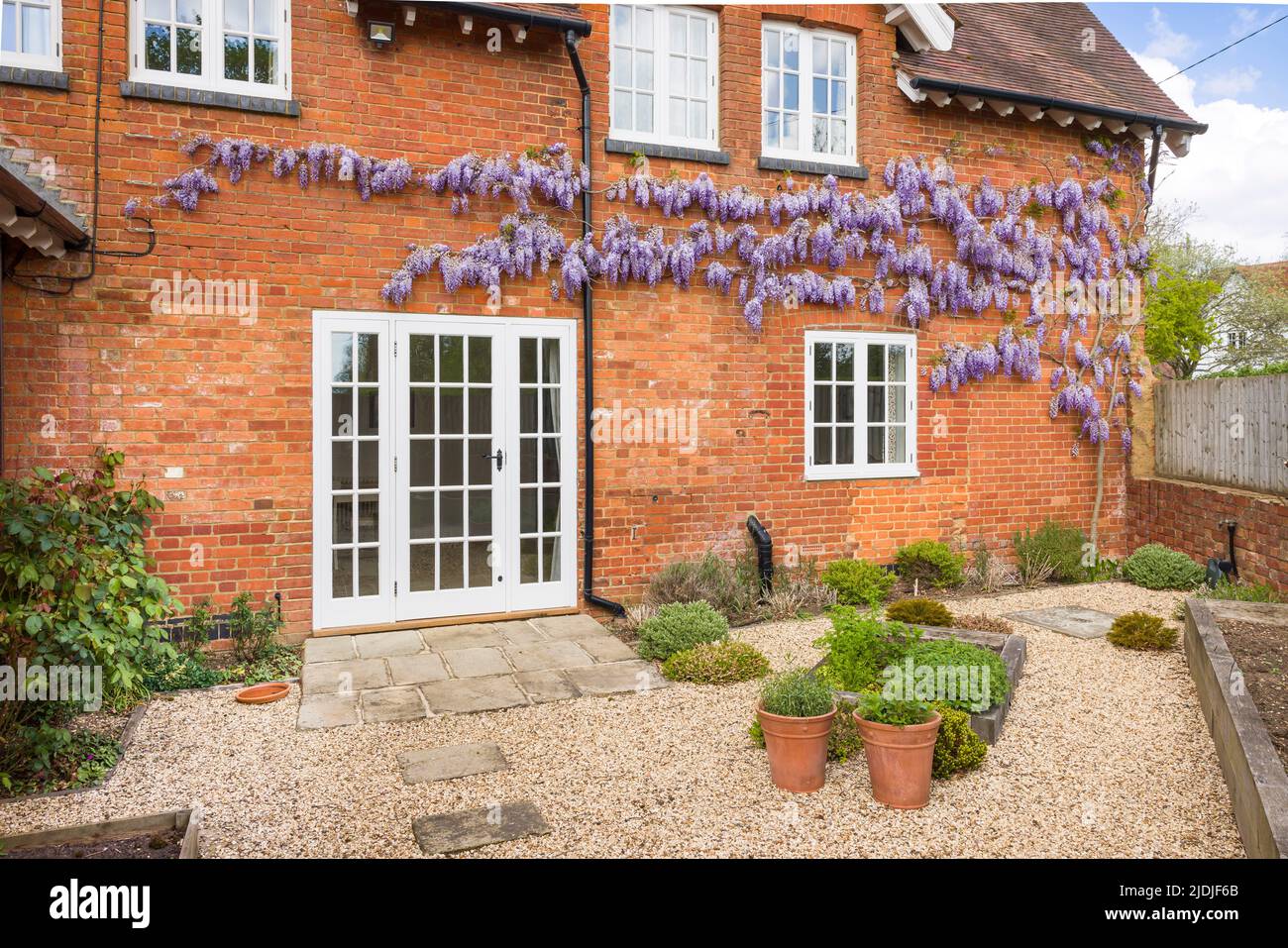 Victorian house with wooden windows, French doors and wisteria. Hard landscaped garden with York stone patio and gravel. England, UK Stock Photo