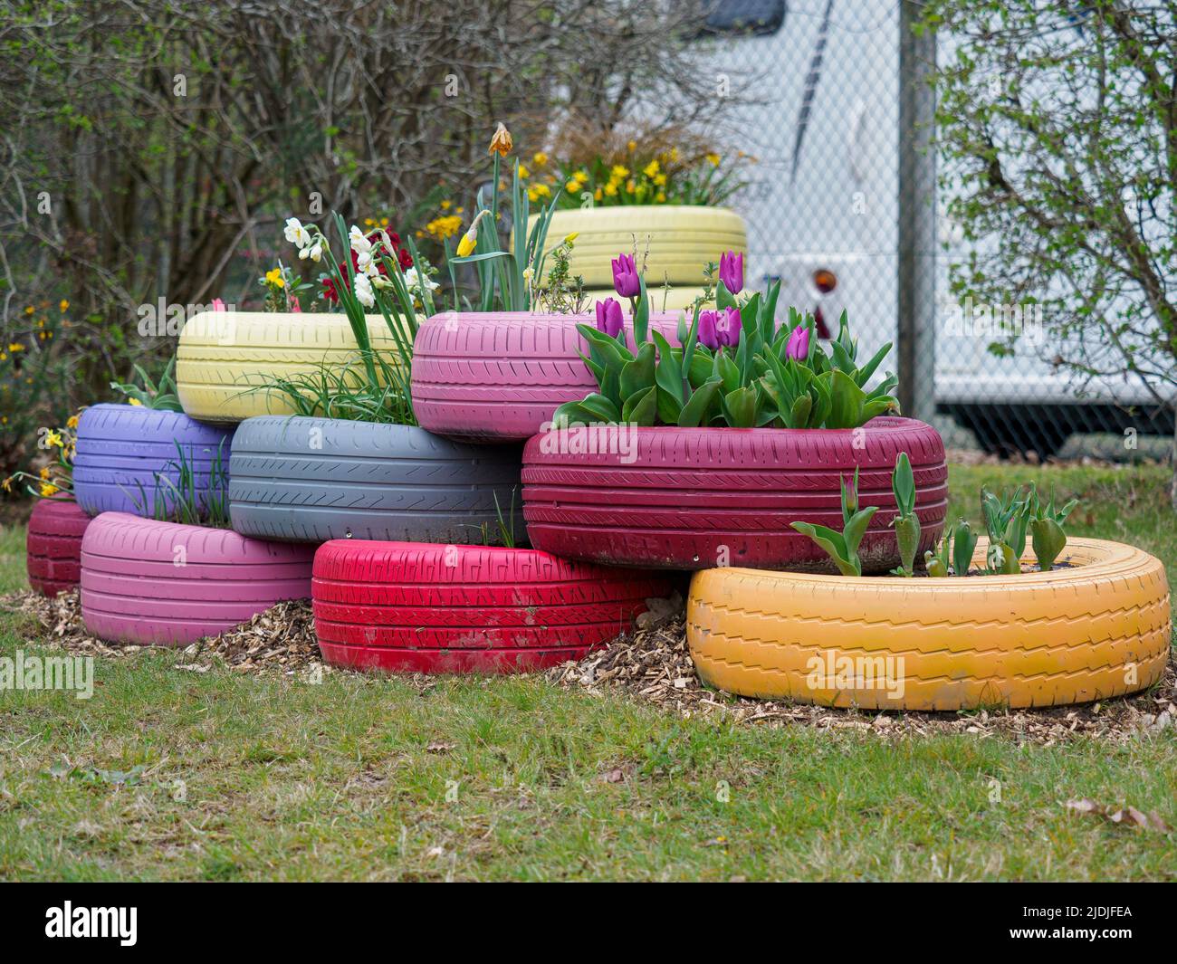 Recycled car tyres used as flower planters, Hampshire, UK Stock Photo