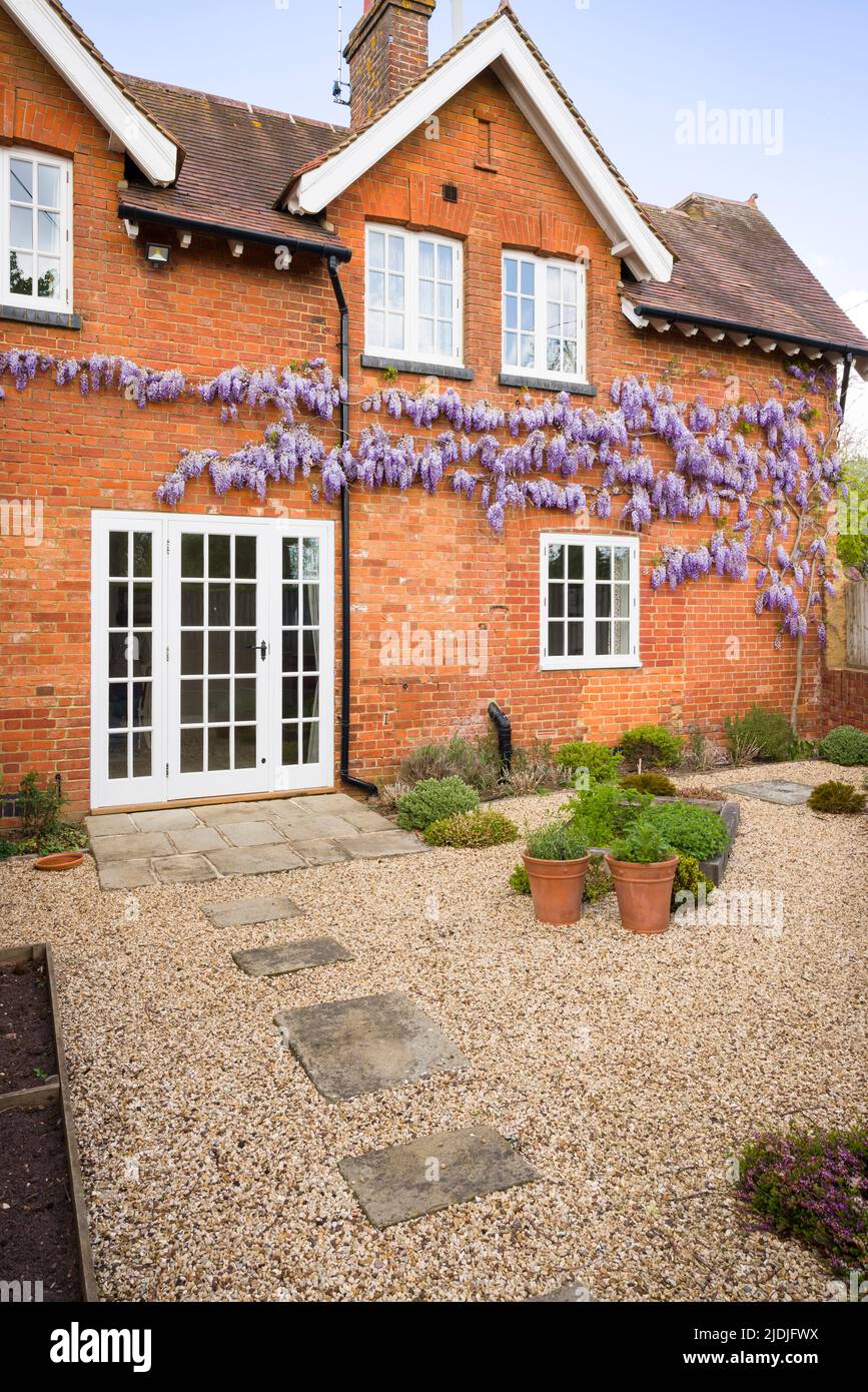 Victorian house with wooden windows, French doors and wisteria. Hard landscaped garden design with York stone patio and stepping stones in gravel. Eng Stock Photo