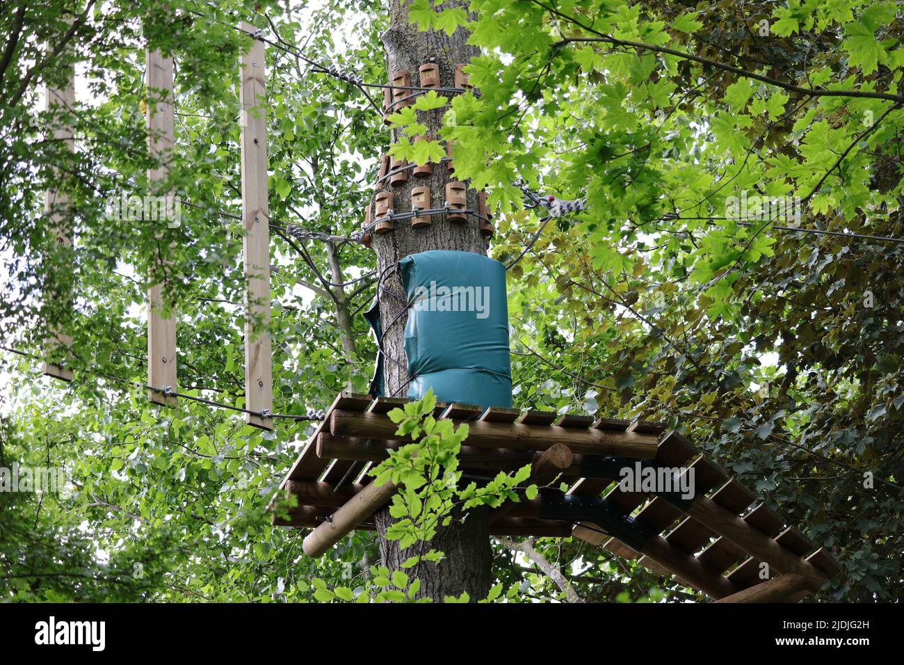 tree climbing course in summer sport activities Stock Photo