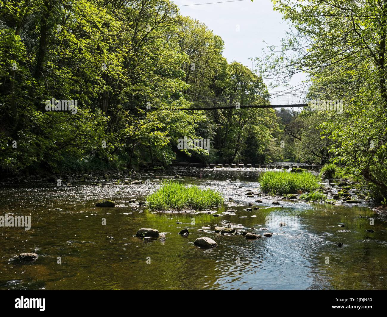 Suspension bridge over the river Wansbeck at Bothal, Northumberland, UK Stock Photo