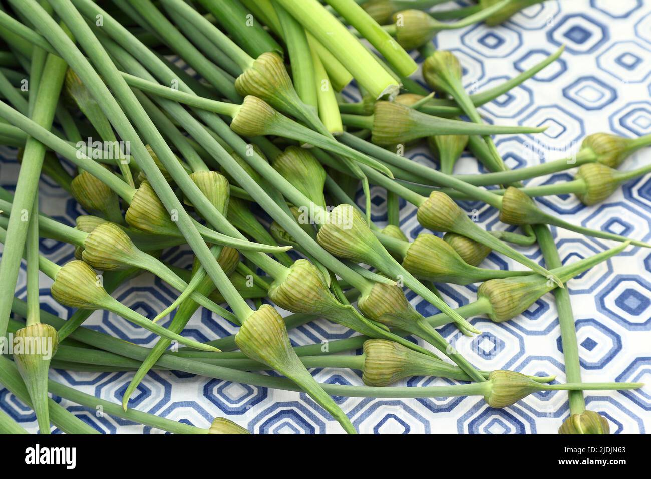 Elephant Garlic Scapes Being Sold At The Farmer's Market Stock Photo