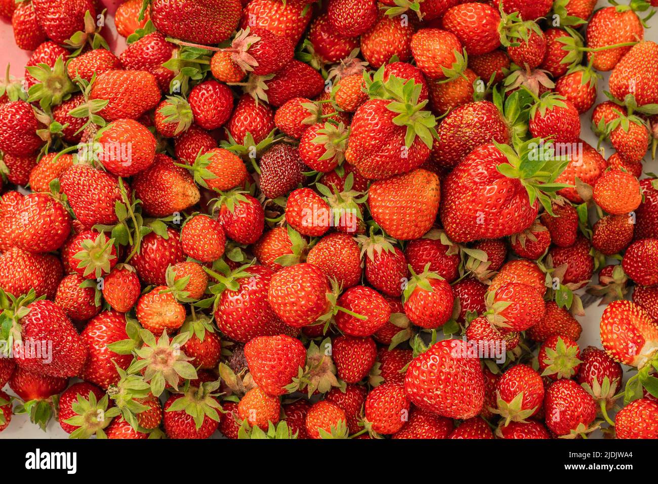 Strawberries background. Fresh strawberry. Food background. Freshly harvested strawberries, top view. Ripe organic sweet strawberry. Summer fruit Stock Photo