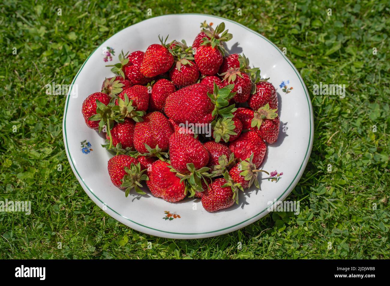 Strawberries background. Fresh strawberry on plate. Food background. Freshly harvested strawberries, top view. Ripe organic sweet strawberry. Summer Stock Photo