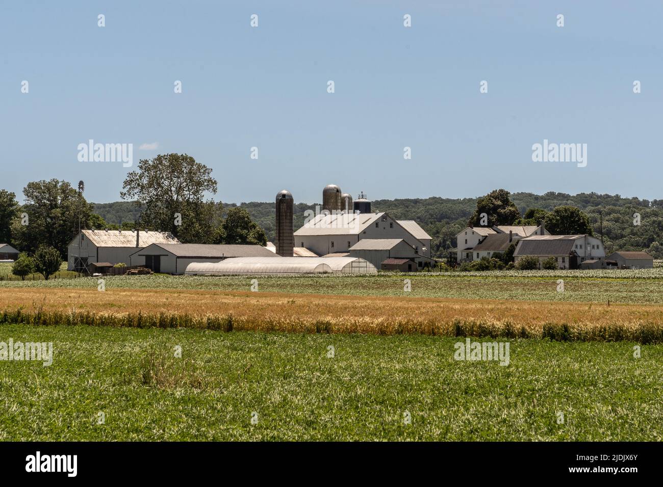 Amish Farm with white barn and windmill. Stock Photo