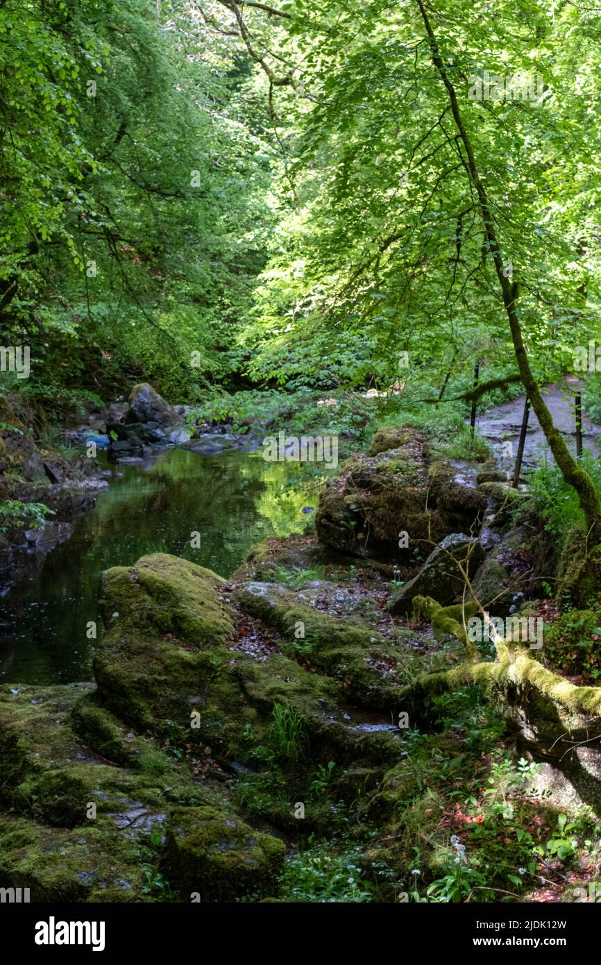 The Birks of Aberfeldy, circular walking route in the Moness Glen