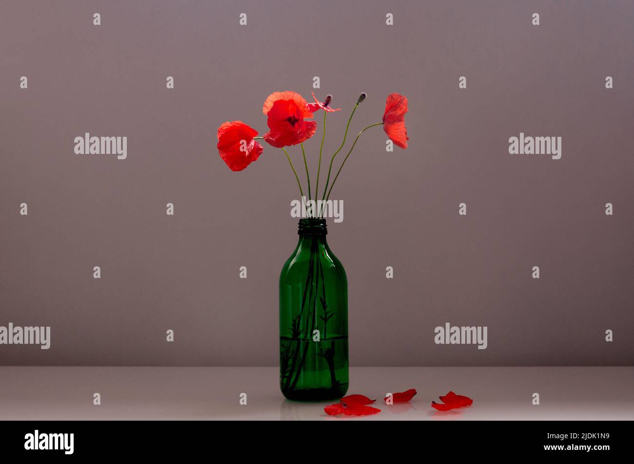 Bouquet of red poppies in a green glass vase on a beige background ...