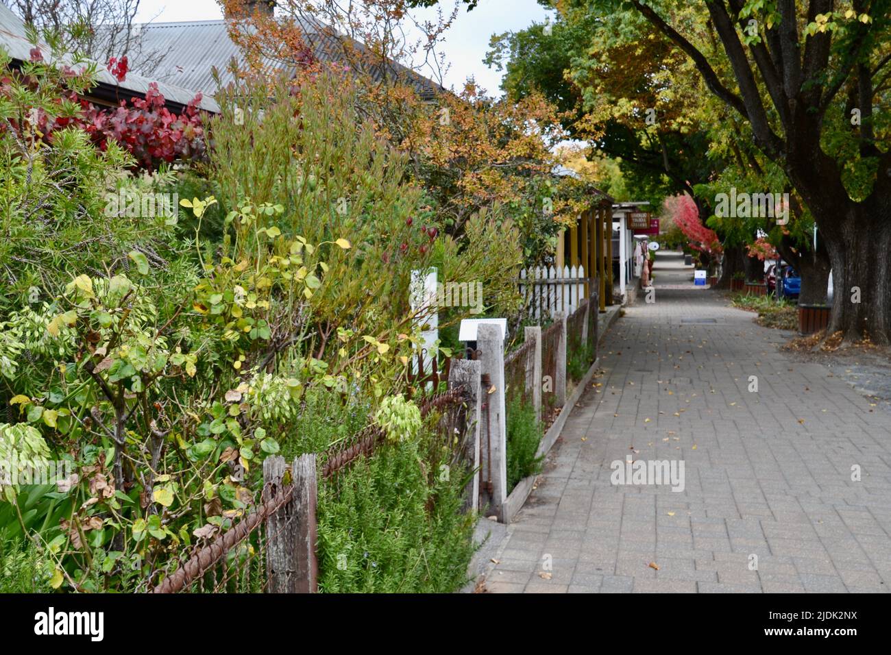 Adelaide hills trees hires stock photography and images Alamy