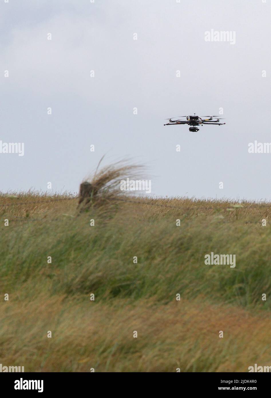 UK 2015 Black drone with camera hovering over coastal long grass. Stock Photo