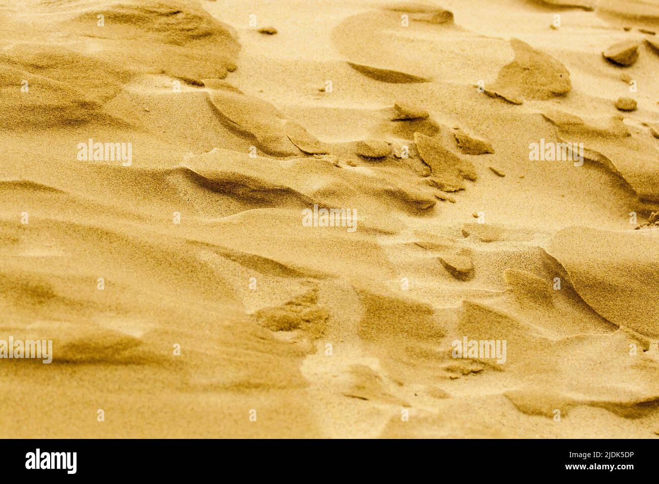 Sand Dunes at Silver Lake State Park, Michigan Stock Photo - Alamy