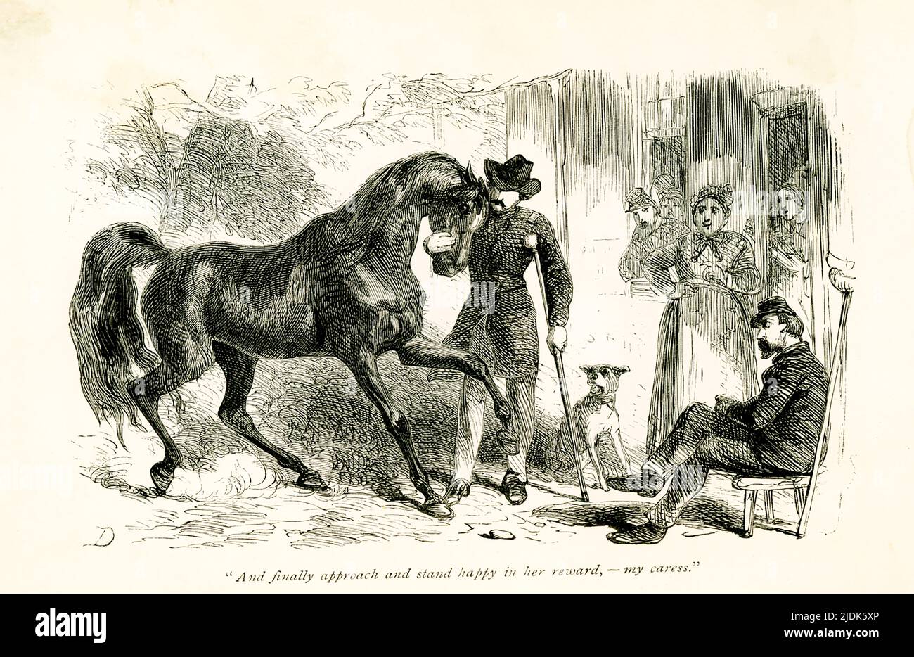 The 1869 caption reads: And finally approach and stand happy in her reward—my caress.' A man with a crutch approaches and nuzzles a horse. Stock Photo