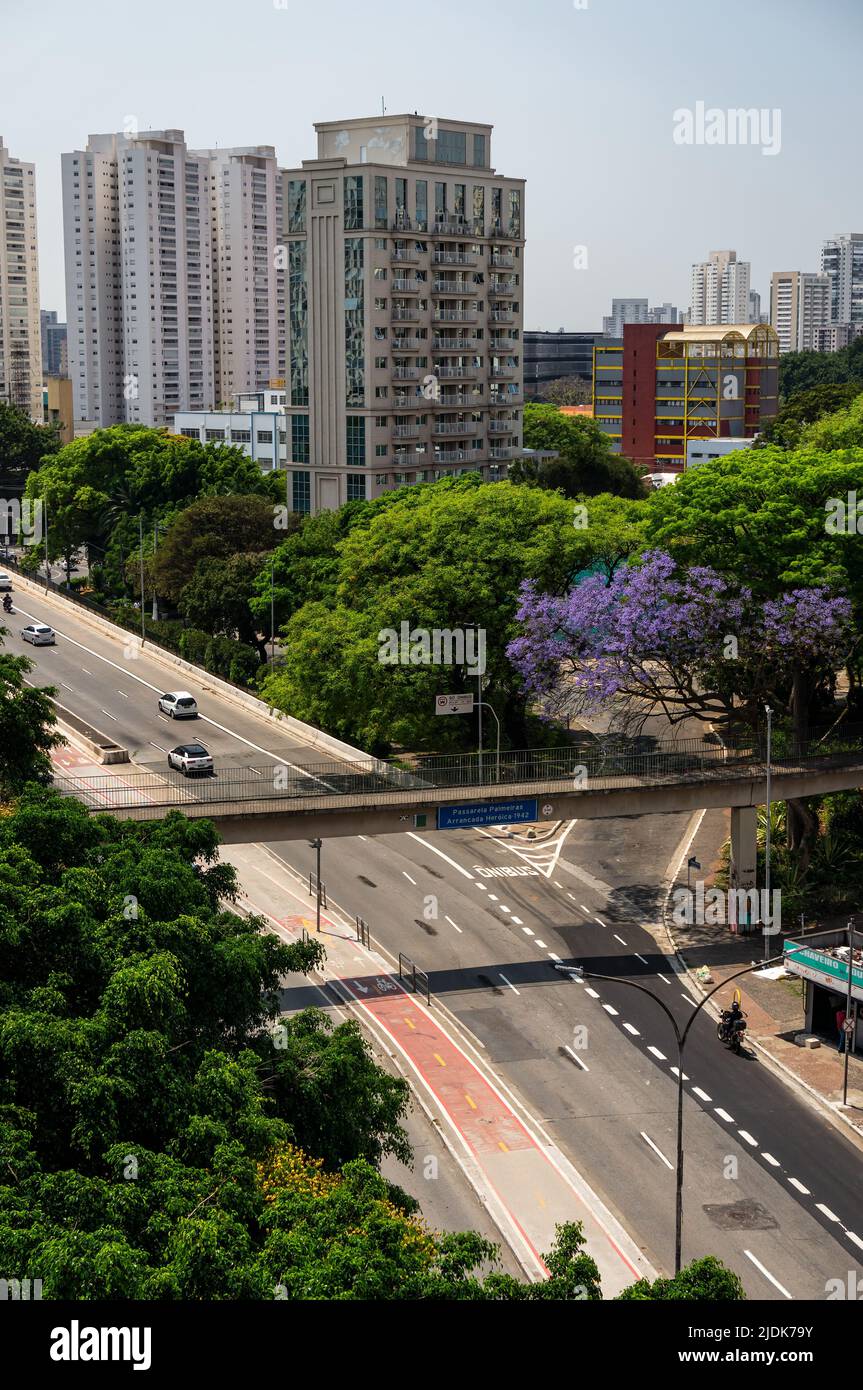 Aerial view of Antartica avenue running between high rise buildings and tall green vegetation trees in Agua Branca under clear sunny blue sky. Stock Photo