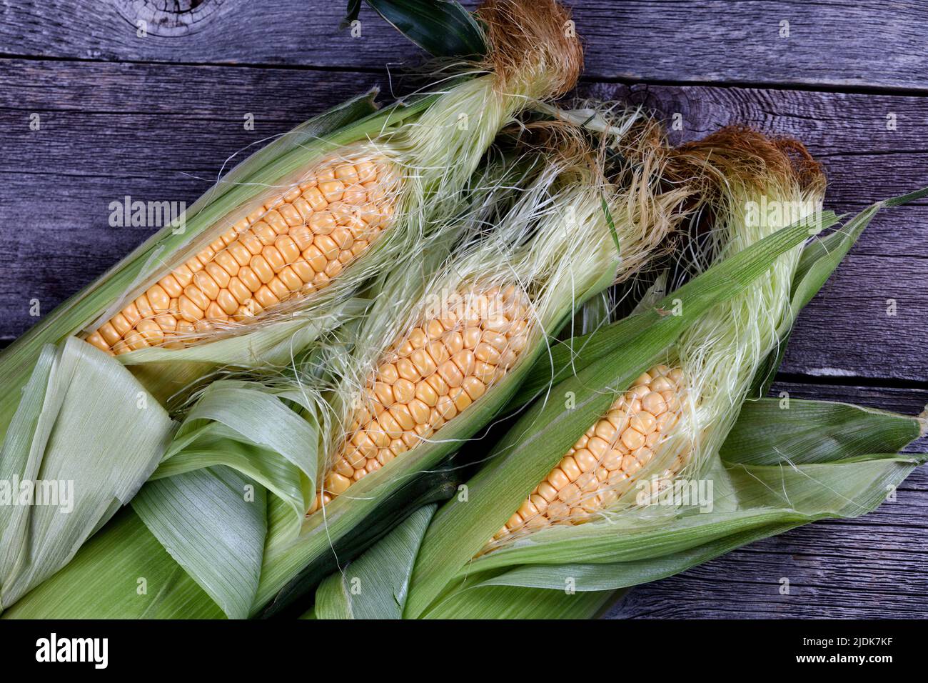 Fresh yellow raw organic sweet corn on a rustic wood table background in overhead view Stock Photo