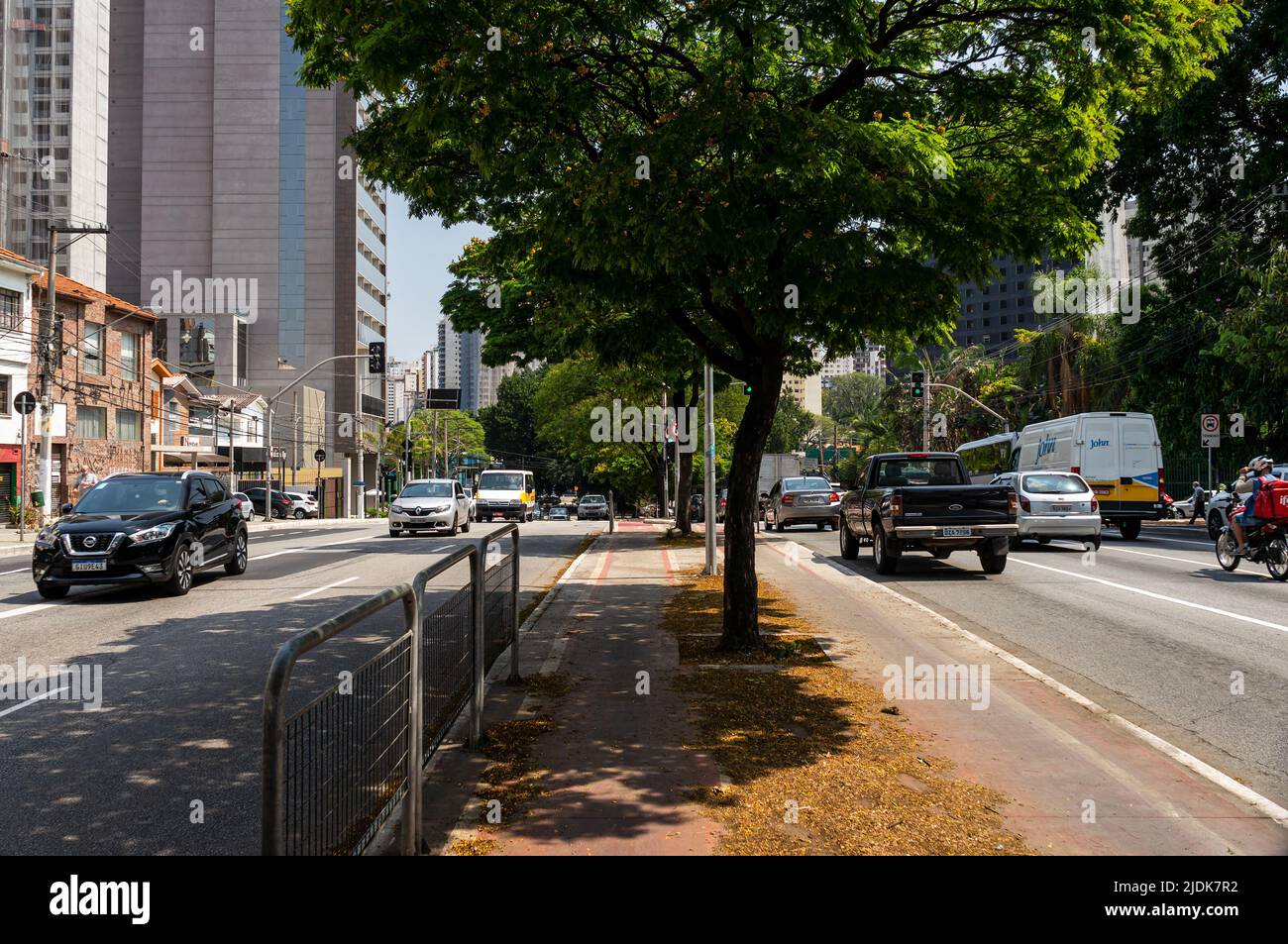 A bicycle lane running on the median strip of Antartica avenue between normal business day heavy traffic, under a row trees and a sunny clear blue sky Stock Photo