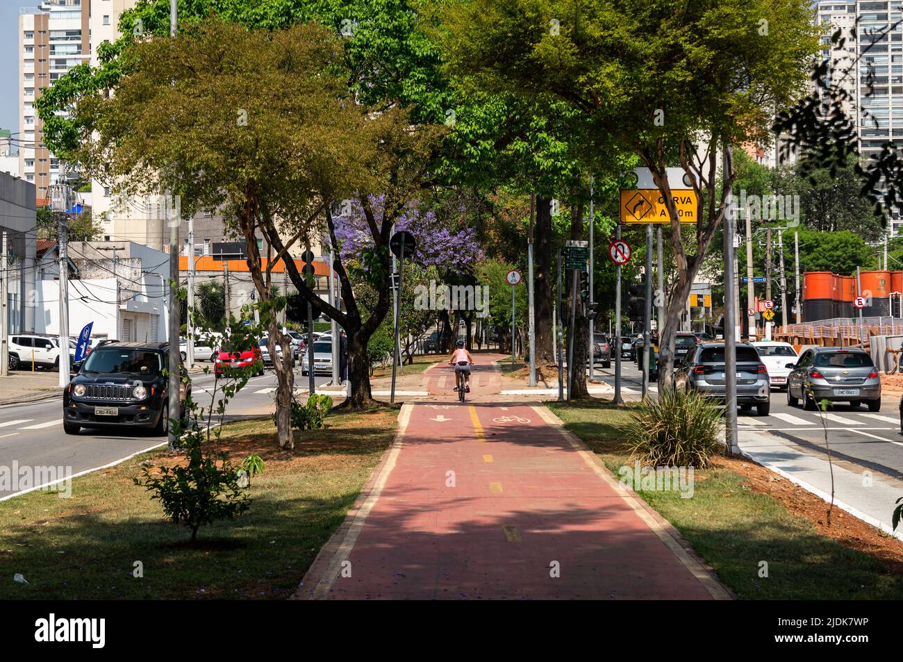 A bicycle lane running on the median strip of Sumare avenue surrounded by green vegetation while normal business day traffic pass on both ways. Stock Photo