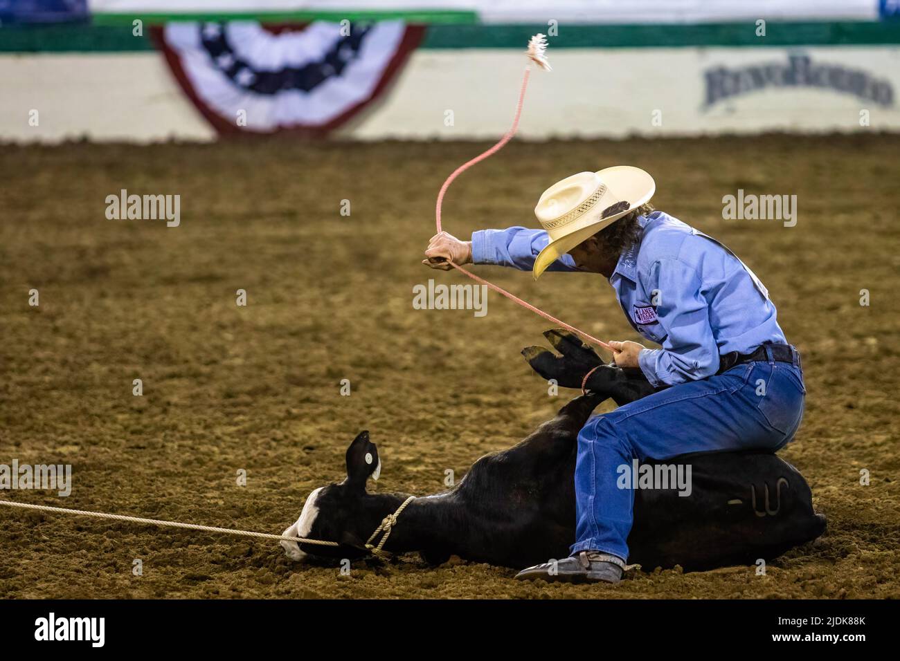 Josh Frost in Tie Down Roping. The Reno Rodeo taking place for its